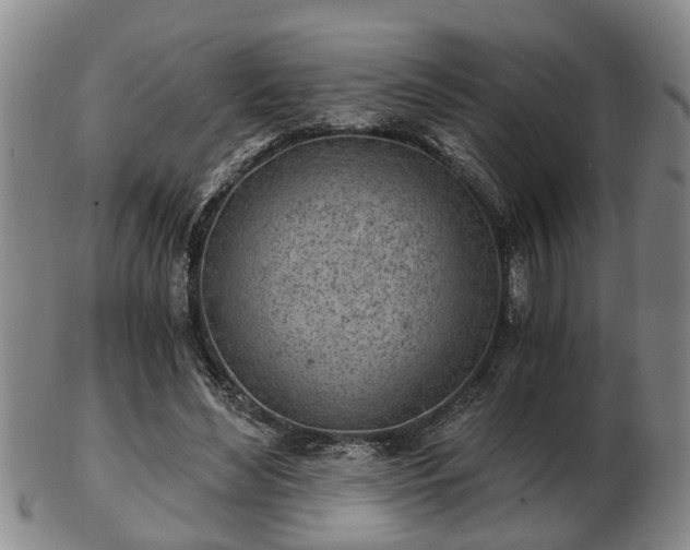 X0000103220492200809041006