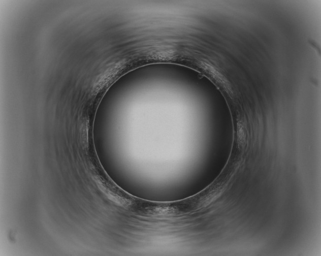 X0000103220493200809041006