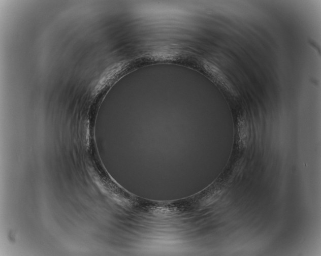 X0000103220494200809041006