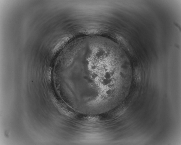 X0000103220495200809041006