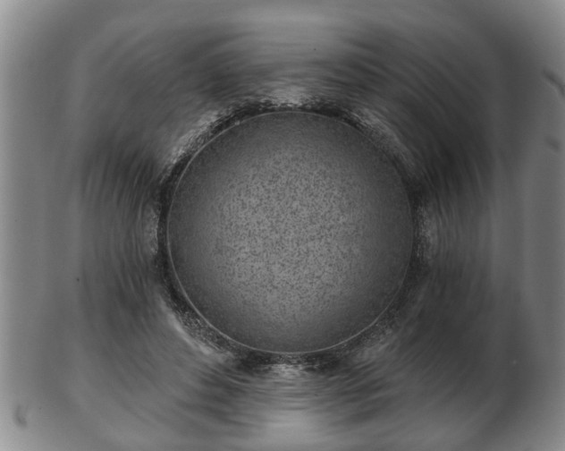 X0000103220496200809041006