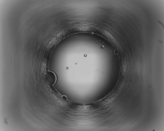 X0000103220497200809041006