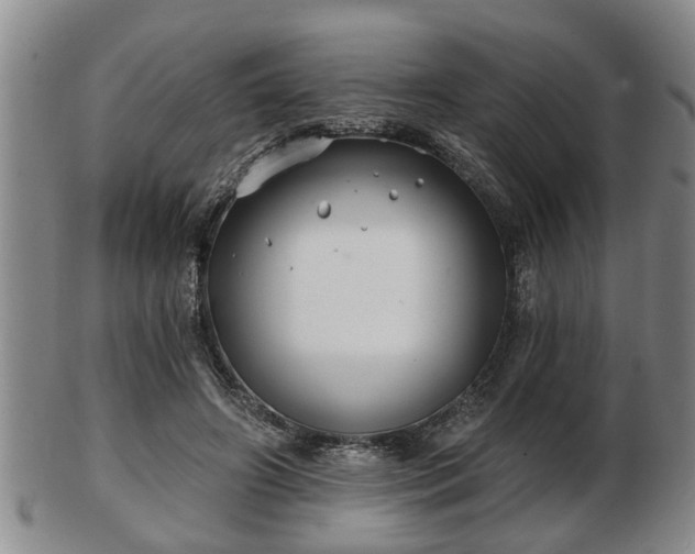 X0000103220498200809041006