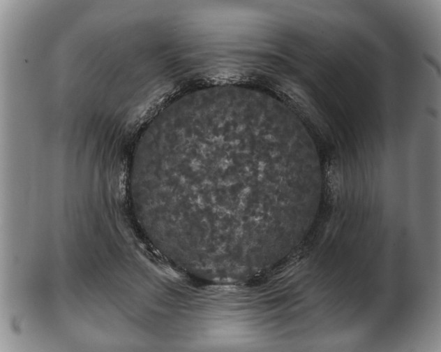 X0000103220499200809041006