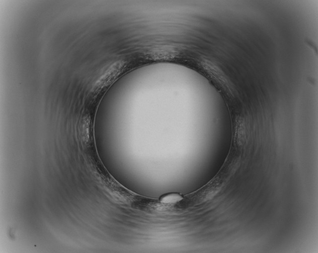 X0000103220501200809041006