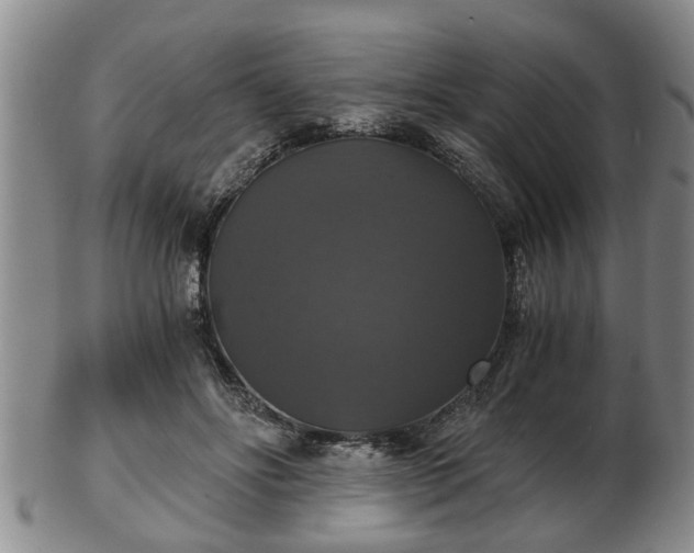 X0000103220502200809041005