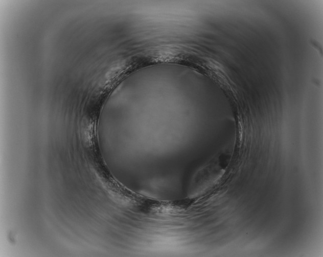 X0000103220503200809041005