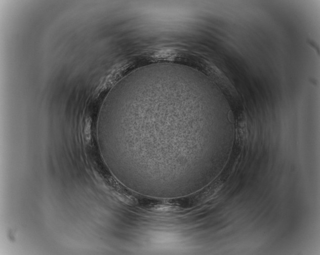 X0000103220504200809041005