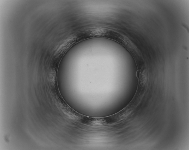 X0000103220505200809041005