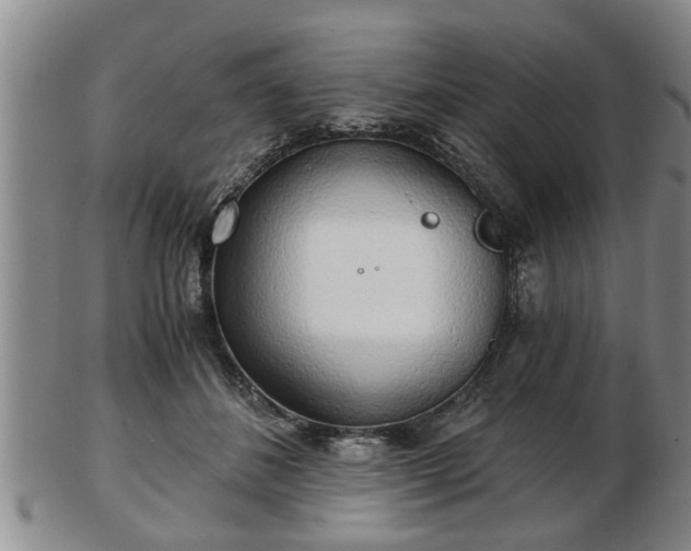 X0000103220508200809041005