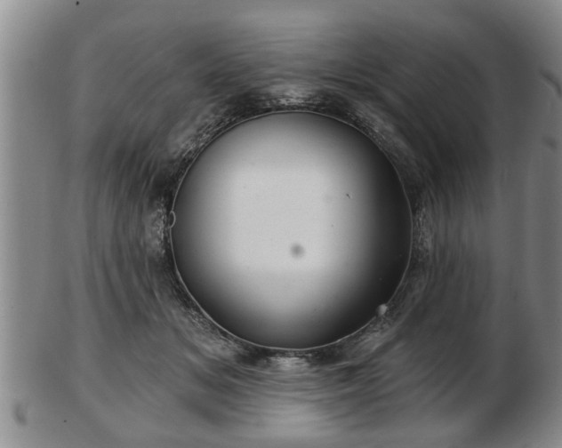 X0000103220509200809041005