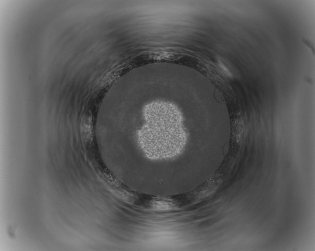 X0000103220510200809041005