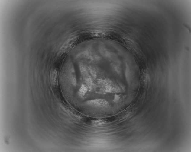 X0000103220511200809041005