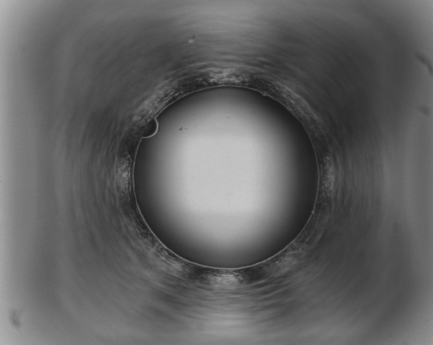 X0000103220513200809041005