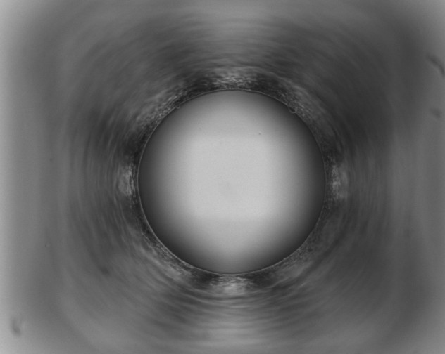 X0000103220514200809041005