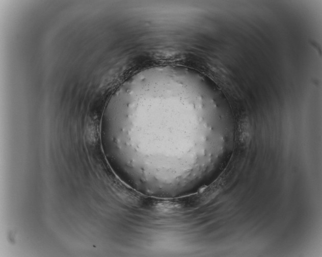 X0000103220515200809041005