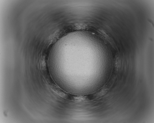 X0000103220516200809041005