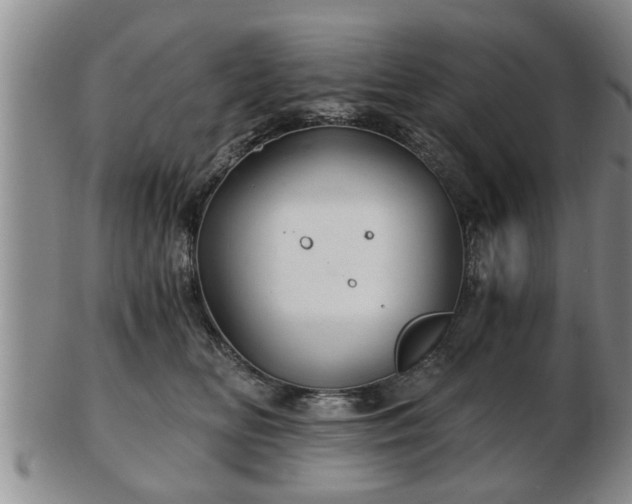 X0000103220518200809041005