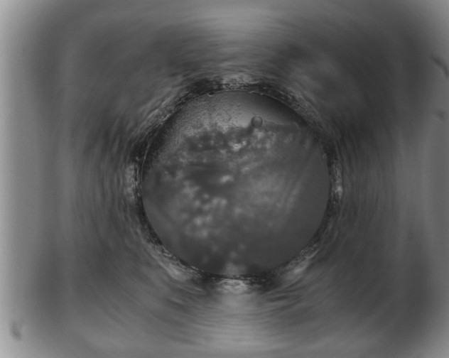 X0000103220519200809041005