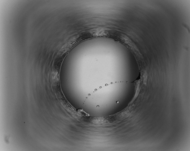 X0000103220521200809041005