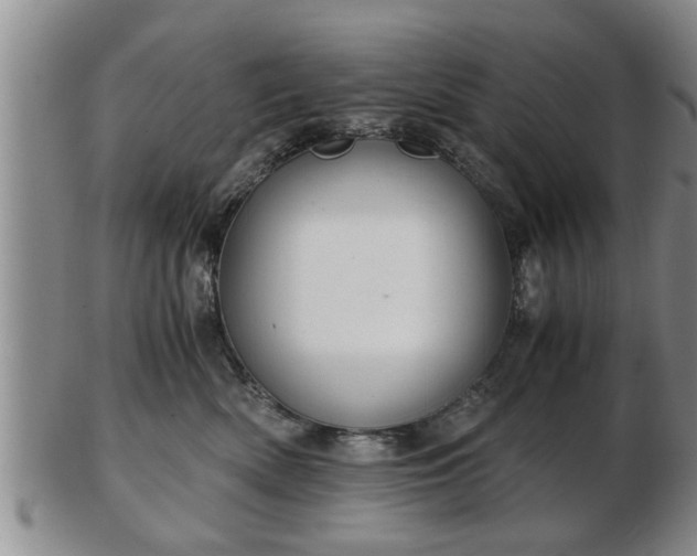 X0000103220522200809041005