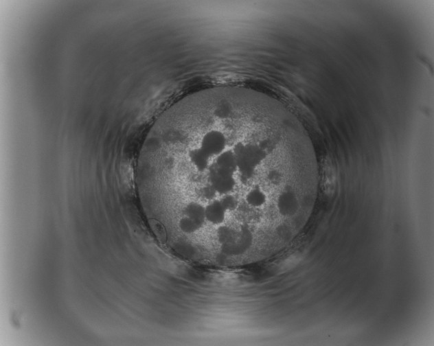 X0000103220523200809041005