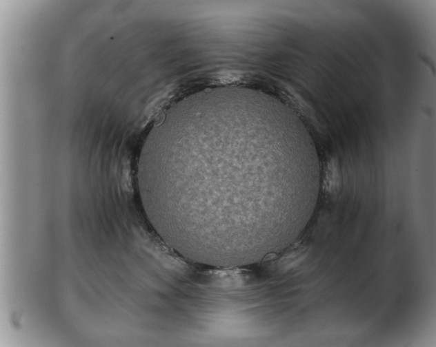 X0000103220524200809041005