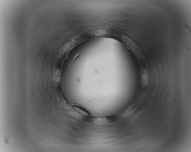 X0000103220525200809041005