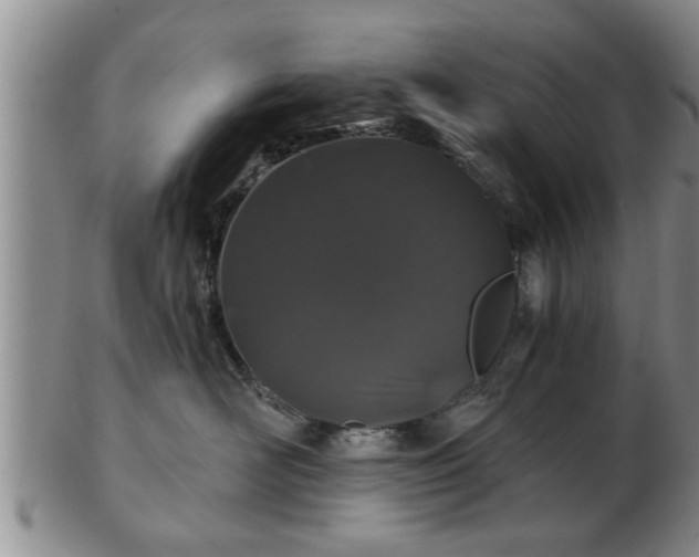 X0000103220526200809041005