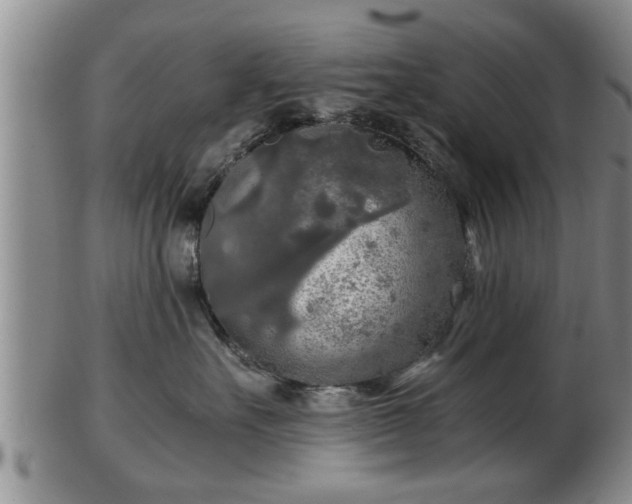 X0000103220527200809041005