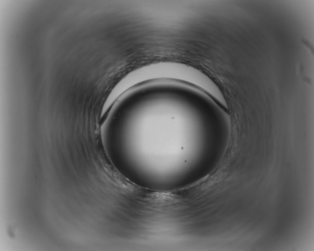 X0000103220528200809041005