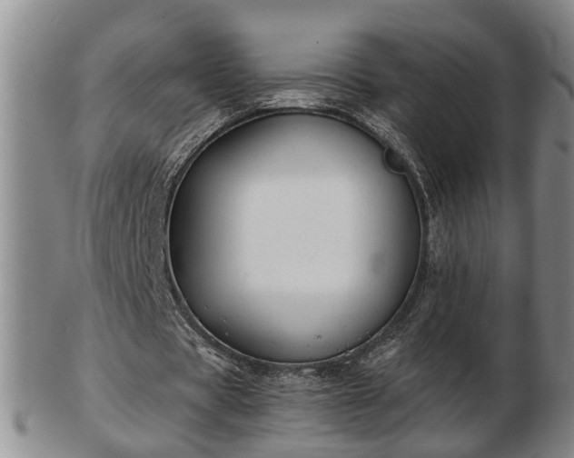 X0000103220529200809041004