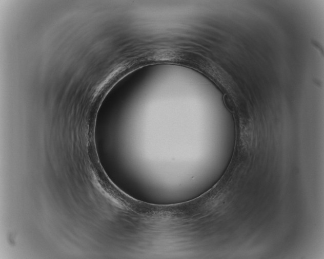 X0000103220530200809041004