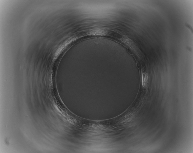 X0000103220531200809041005