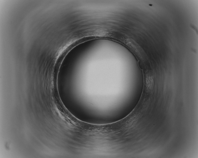 X0000103220532200809041005