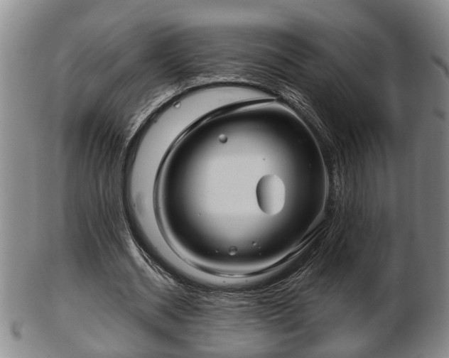 X0000103220534200809041005