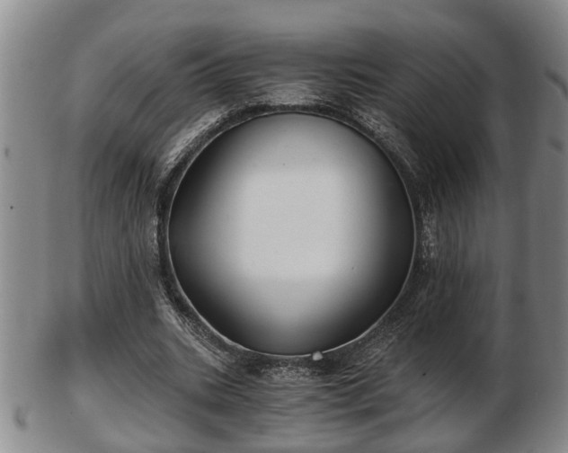 X0000103220535200809041005