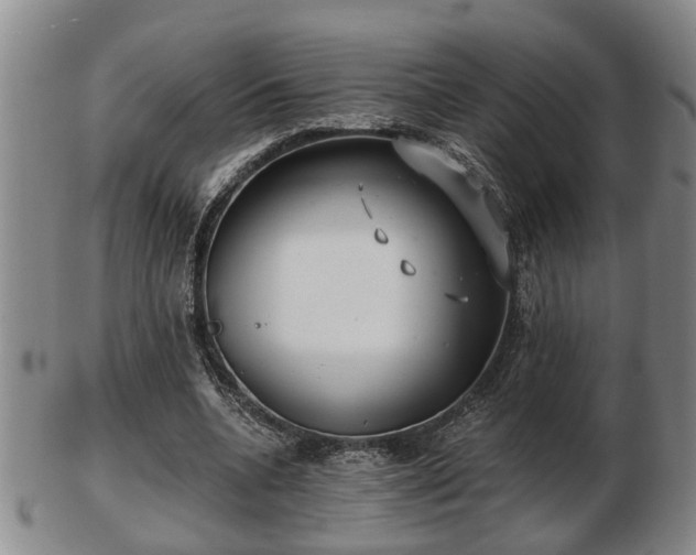 X0000103220536200809041005