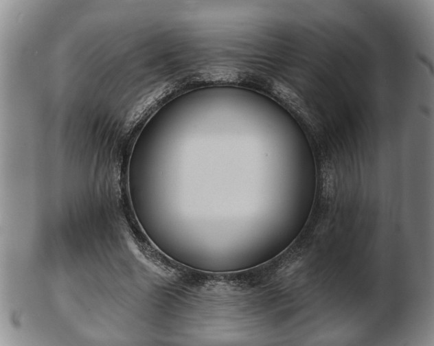 X0000103220538200809041005