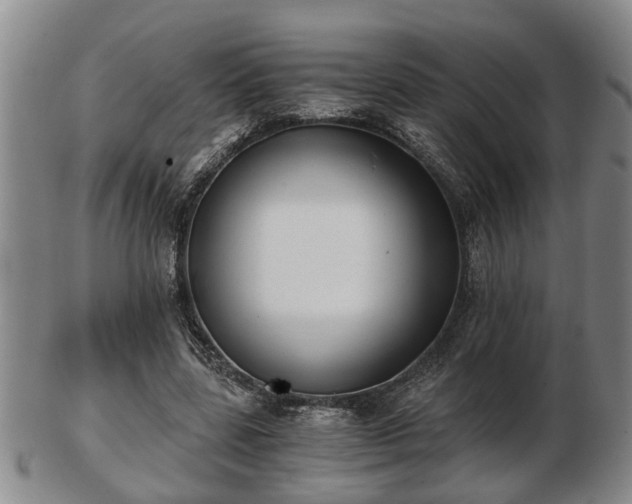 X0000103220539200809041005