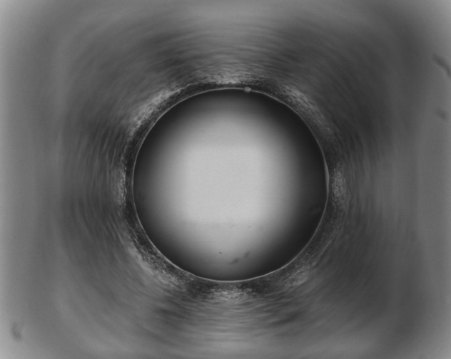 X0000103220540200809041005