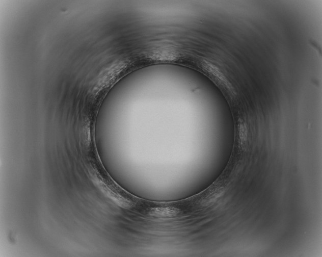 X0000103220541200809041005