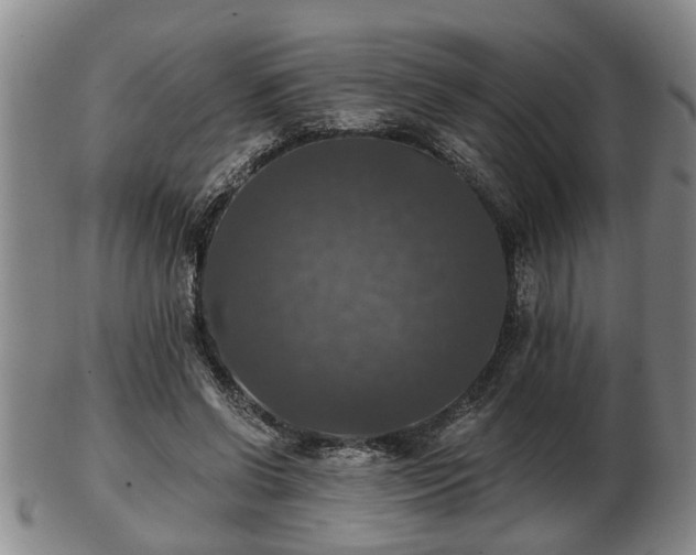 X0000103220542200809041005