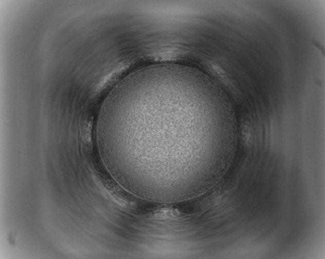 X0000103220543200809041005