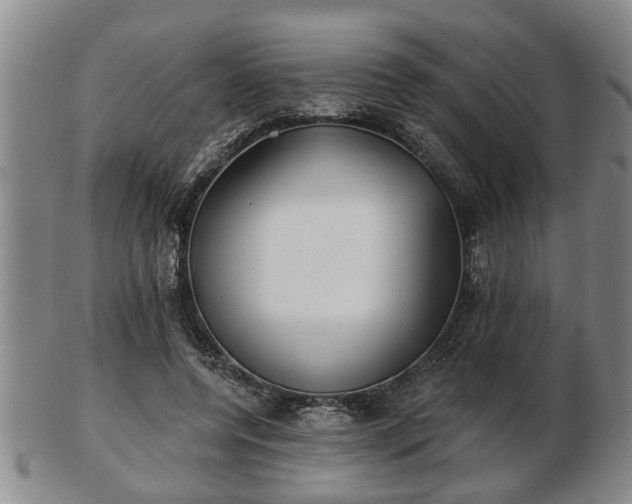 X0000103220544200809041005