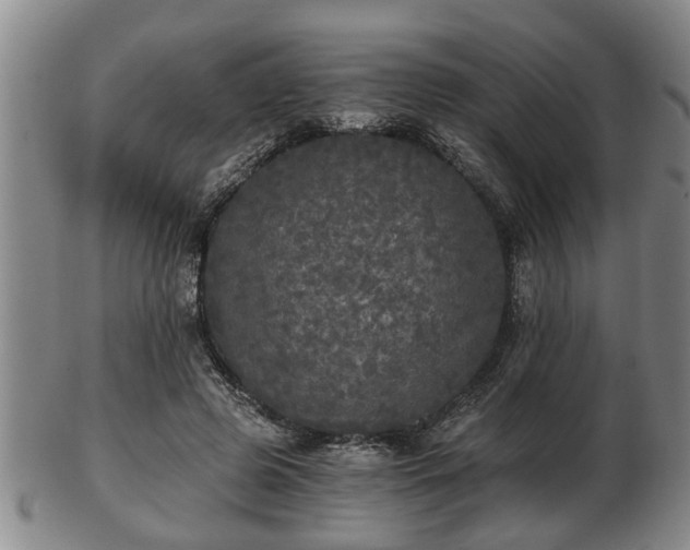 X0000103220545200809041005