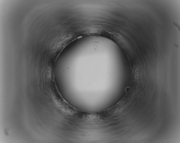 X0000103220546200809041005