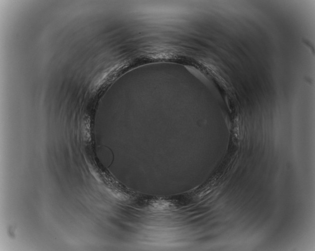 X0000103220547200809041005