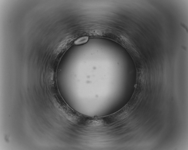 X0000103220548200809041005