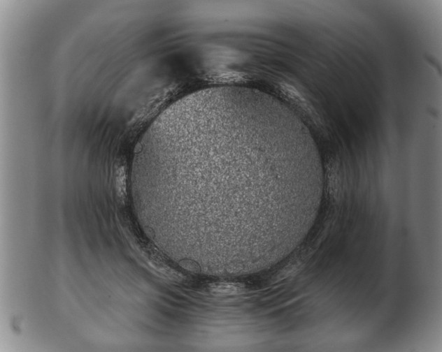 X0000103220549200809041005